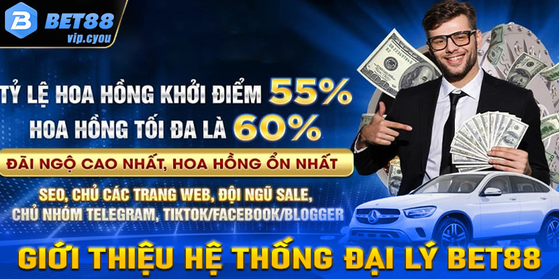 Giới thiệu sơ lược chung về hệ thống đại lý Bet88