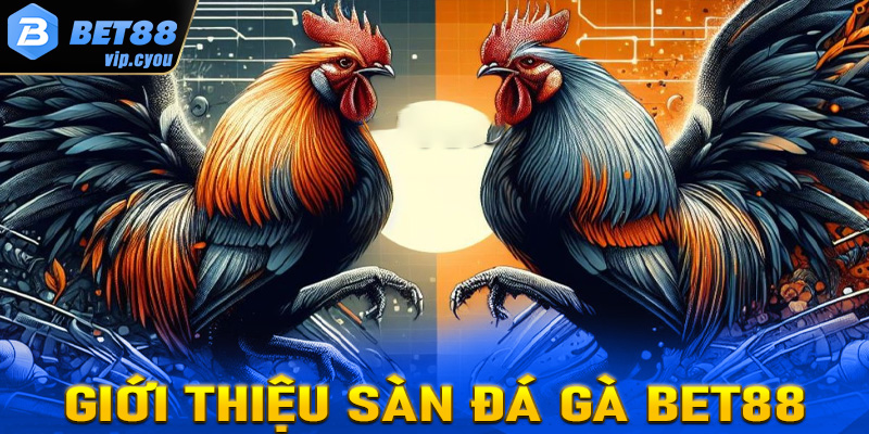 Giới thiệu về sàn cá cược đá gà Bet88 trực tuyến