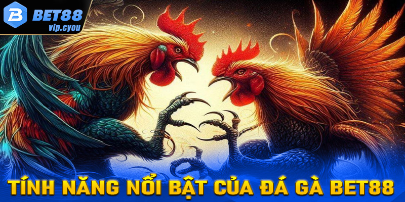 Tính năng nổi bật của sàn cá cược chiến kê đá gà Bet88